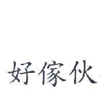 好傢伙