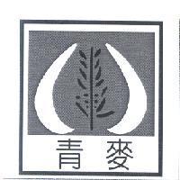 青麥及圖