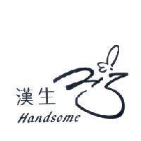 漢生 Handsome 及圖