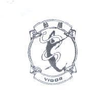 動感 VIGOR 及圖