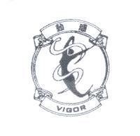 動感 VIGOR 及圖