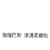 撒隆巴斯 滲透柔膚貼