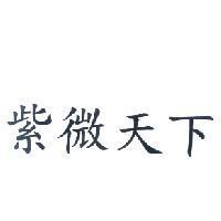 紫微天下