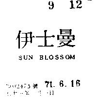 伊士曼 SUN BLOSSOM 
