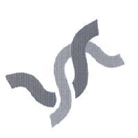 帛江科技標章