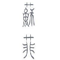 蘇菲