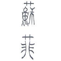 蘇菲