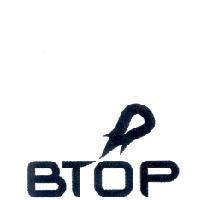 BTOP 及圖