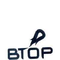 BTOP 及圖