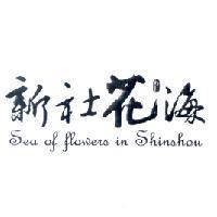 新社花海 Sea of flowers in Shinshou 及圖