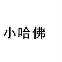 小哈佛