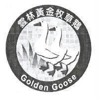 雲林黃金牧草鵝 Golden Goose 及圖