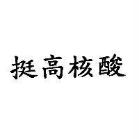 挺高核酸