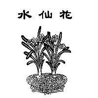 水仙花及圖