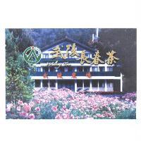 武陵農場 武陵長春茶 Wuling Tea Wuling Farm 及圖