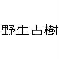 野生古樹