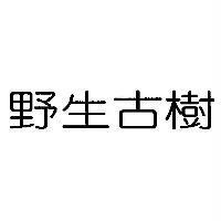 野生古樹