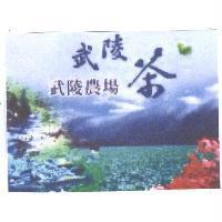 武陵茶武陵農場及圖