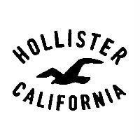 HOLLISTER CALIFORNIA & Seagull Design