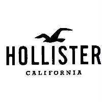 HOLLISTER CALIFORNIA & Seagull Design