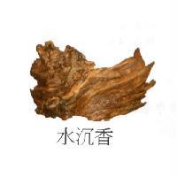 水沉香及圖