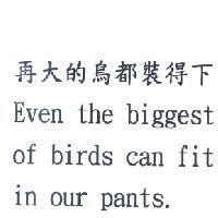 再大的鳥都裝得下 Even the biggest of birds can fit in our pants.
