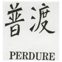 普渡 PERDURE 