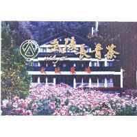 武陵農場 武陵長青茶 Wuling Tea Wuling Farm 及圖