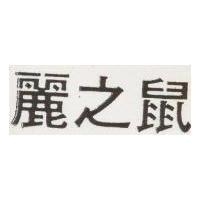 麗之鼠