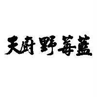 天廚野莓藍