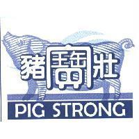 豬寶壯 pig strong 及圖