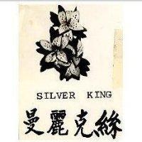 曼麗克絲及圖 SILVER KING