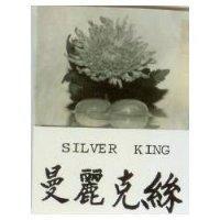 曼麗克亰及圖 SILVER KING 