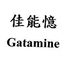 佳能憶 Gatamine