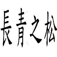 長青之松