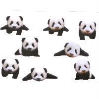 小貓熊圖