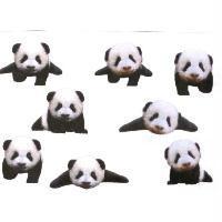 小貓熊圖