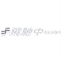 飛馳中藝術拍賣網及圖