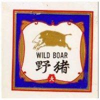 野豬 WILD BOAR 及圖 