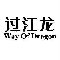 過江龍Way Of Dragon