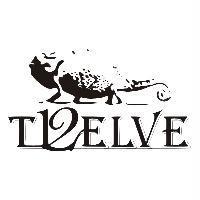 T12ELVE 及圖