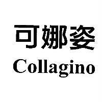Collagino 可娜姿