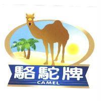 駱駝牌 CAMEL 及圖