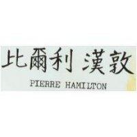 比爾利漢敦 PIERRE HAMILTON