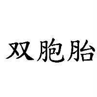 双胞胎