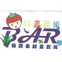 阡嘉蔬果及圖 有機蔬果能量飲料