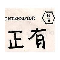正有及圖 INTERMOTOR 
