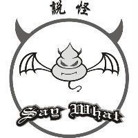 說怪 Say What 及圖