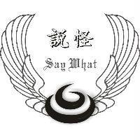說怪 Say What 及圖