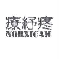 療紓疼 NORXICAM 設計字